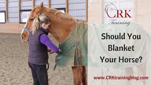 how to choose the best horse blanket on