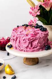 Gluten Free Vegan Blueberry Cake gambar png