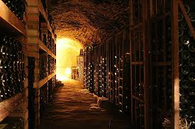 Wine Cellar Wikipedia