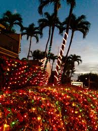 Christmas Lights In Kihei Christmas Lights Maui Hawaiian