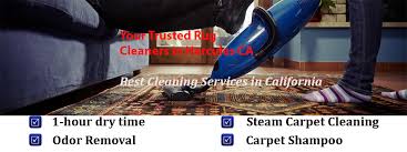 rug cleaning carpet cleaning hercules