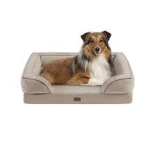 We did not find results for: Martha Stewart Bella Memory Foam Dog Couch Bed Bath Beyond