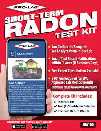 pro lab ra100 radon gas do it yourself