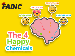the 4 happy chemicals in our brain how