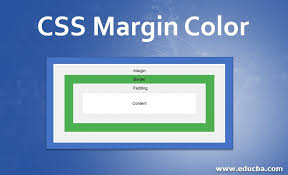 css margin color understanding of