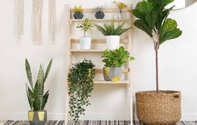 create a ladder plant stand to spruce