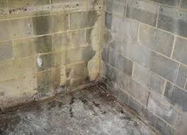 Leaking Basement Wall Jes Foundation