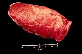 beef meat identification science