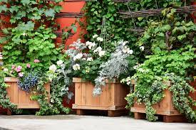 Outdoor Planter Ideas For Your Garden
