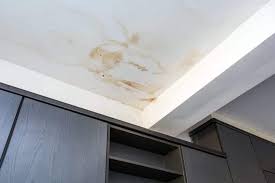 Water Stain On The Ceiling