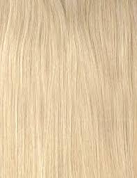 Design element for beauty salons. Clip In Hair Extensions Ash Blonde 60 120g Hair Extensions By Monica Free Shipping