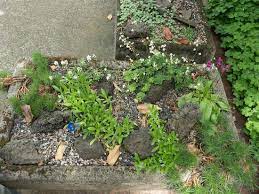 Hypertufa Cement With Peat Pot And A