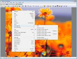Xnview is a free software for windows that allows you to view, resize and edit your photos. Download Xnview For Windows 7 32 64 Bit In English