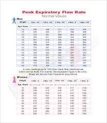 peak flow chart templates 7 free pdf