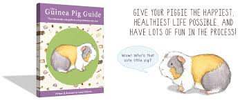 The Guinea Pig Guide Cutely Comprehensive Guinea Pig Care