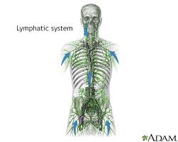 lymphatic obstruction information