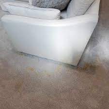 affordable carpet cleaning franklin tn