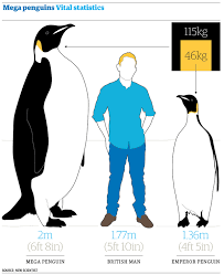 Penguin Height Charts The Virtual Stoa