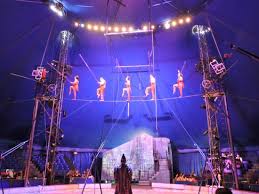 Circus Flora Saint Louis 2019 All You Need To Know