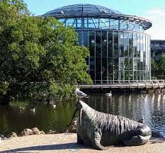 Sunderland Museum Library And Garden