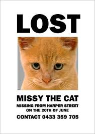 But this latest missing cat poster is designed to bring something else: Lost Cat Poster Template Missing Cat Poster Lost Cat Poster Missing Posters