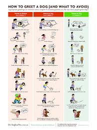 How To Greet A Dog Poster Dr Sophia Yins Chart On How To
