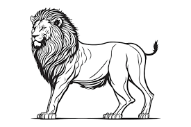 lion black outline vector on white