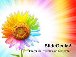 sunflower beauty powerpoint templates