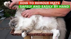 how to remove mats from cat s fur