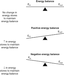 Control Of Energy Balance