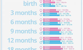 Baby Length Chart Kubre Euforic Chart Information