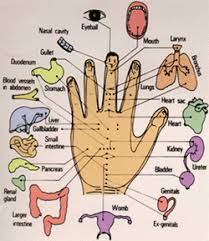 Koryo Hand Acupuncture Top Rated Buyer And Fast Selling