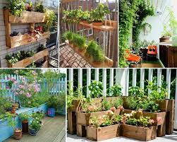tiny garden ideas to dress up your balcony