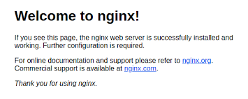 manage virtual hosts in nginx server