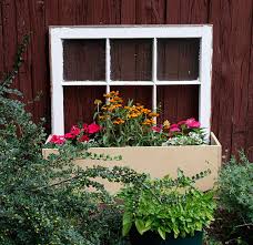 Old Window Into A Beautiful Planter