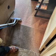 carpet cleaning in sunnyvale ca