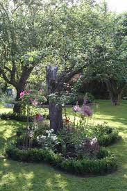 Old Apple Tree Underplanting Box Hedge