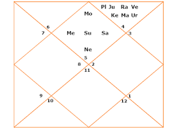 The Rashi Hora Divisional Horoscope Or Varga Birth Chart