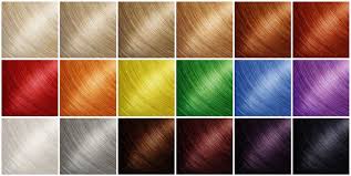 hair colour chart images browse 4 188