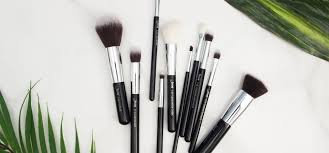 have make up brushes for beginners