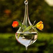 Zhdoka Wall Hanging Glass Wall Planter