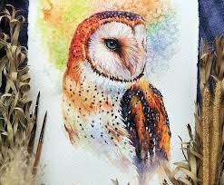 Owl Watercolor Painting Lazy