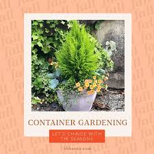 Container Gardening Services B B