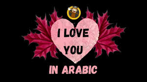 i love you in arabic