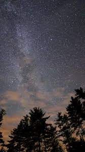 nc76-night-sky-stars-milkyway-wood-nature