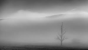 Résultat de recherche d'images pour "paysages de brouillards"