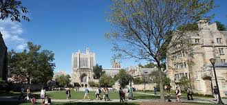 Study at Yale: What's it Really Like? | Top Universities