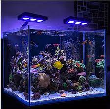 10 Best Reef Led Lights Reviews Side By Side Comparison Marine Fish Tanks Reef Tank Light Coral Reef Aquarium
