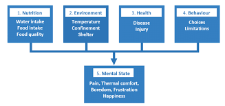 I am intimately familiar with his/her history and with the functional limitations imposed by his/her disability. Five Domains Model Of Measuring Animal Welfare With Examples In Each Download Scientific Diagram