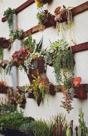 20 Gorgeous Succulent Wall Art To